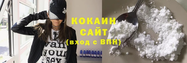 мескалин Бородино