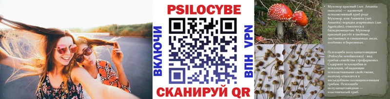 Галлюциногенные грибы MAGIC MUSHROOMS  Купить  Духовщина 
